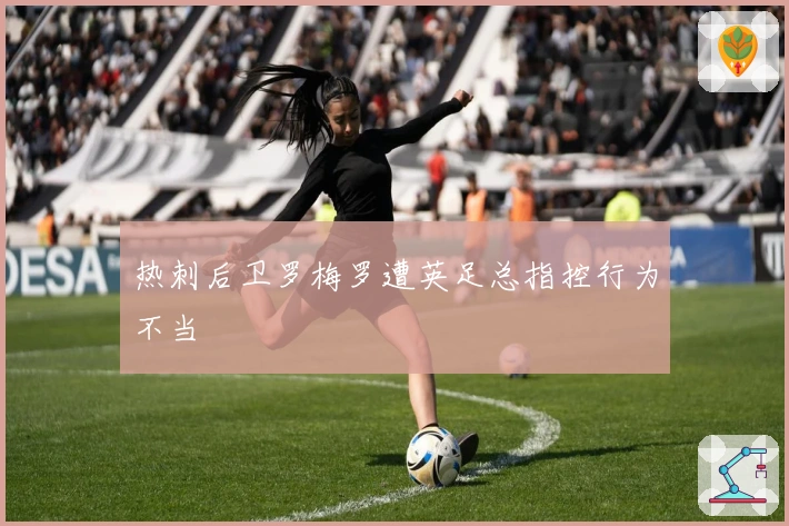 热刺后卫罗梅罗遭英足总指控行为不当